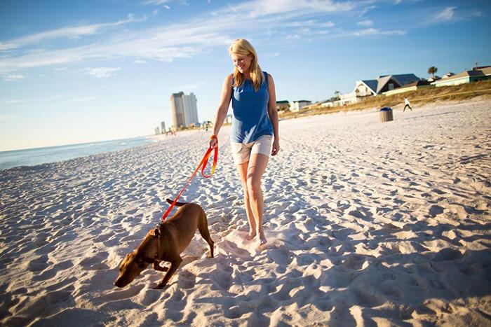 How to Find Pet Friendly Vacation Rentals