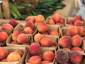 Where to find Farmers Markets on 30A