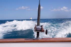 Complete Guide to Fishing in Destin, Florida