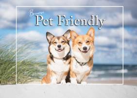 How to Find Pet Friendly Vacation Rentals