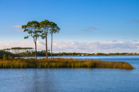The Rare Coastal Dune Lakes of 30A Florida