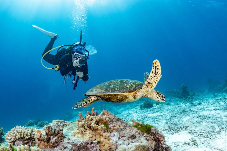 Things To Do Diving & Snorkeling